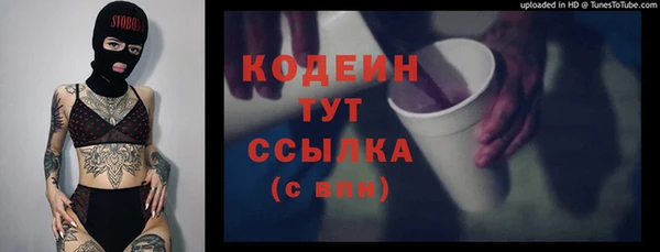ECSTASY Няндома